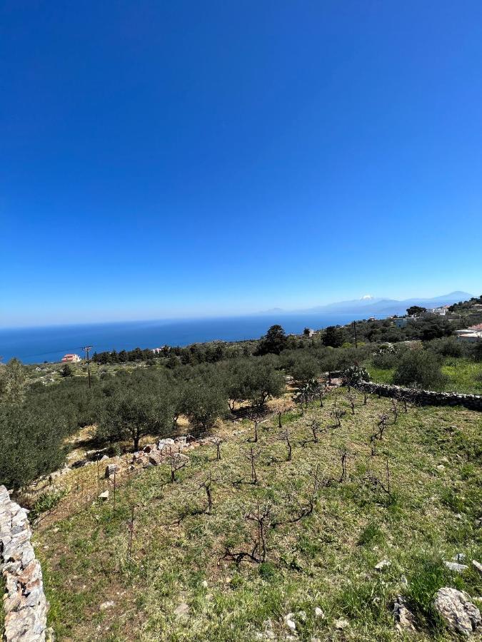 Anatoli Hébergement de vacances Kefalas